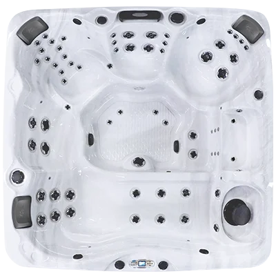 Avalon EC-867L hot tubs for sale in Antioch